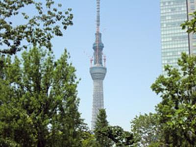 公园大道酒店 2*